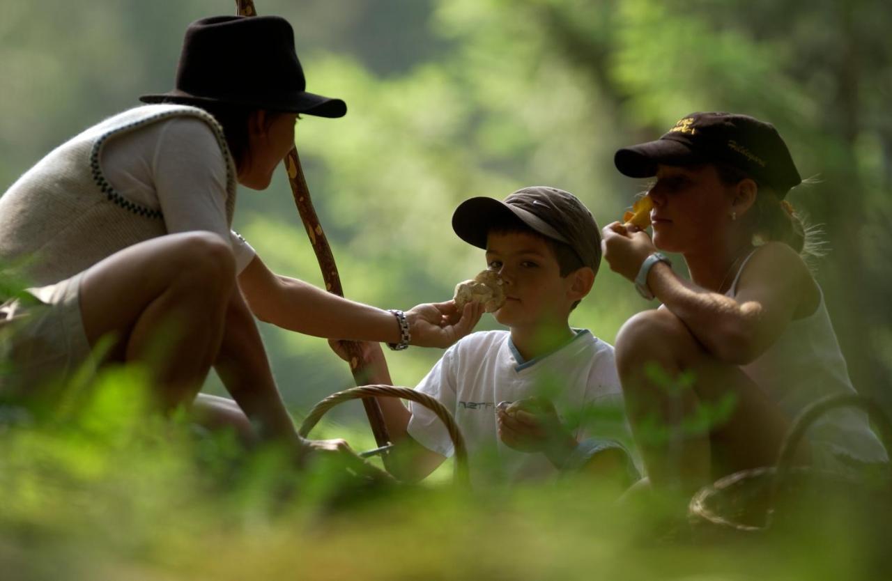 Alpenresort Walsertal دامولس المظهر الخارجي الصورة