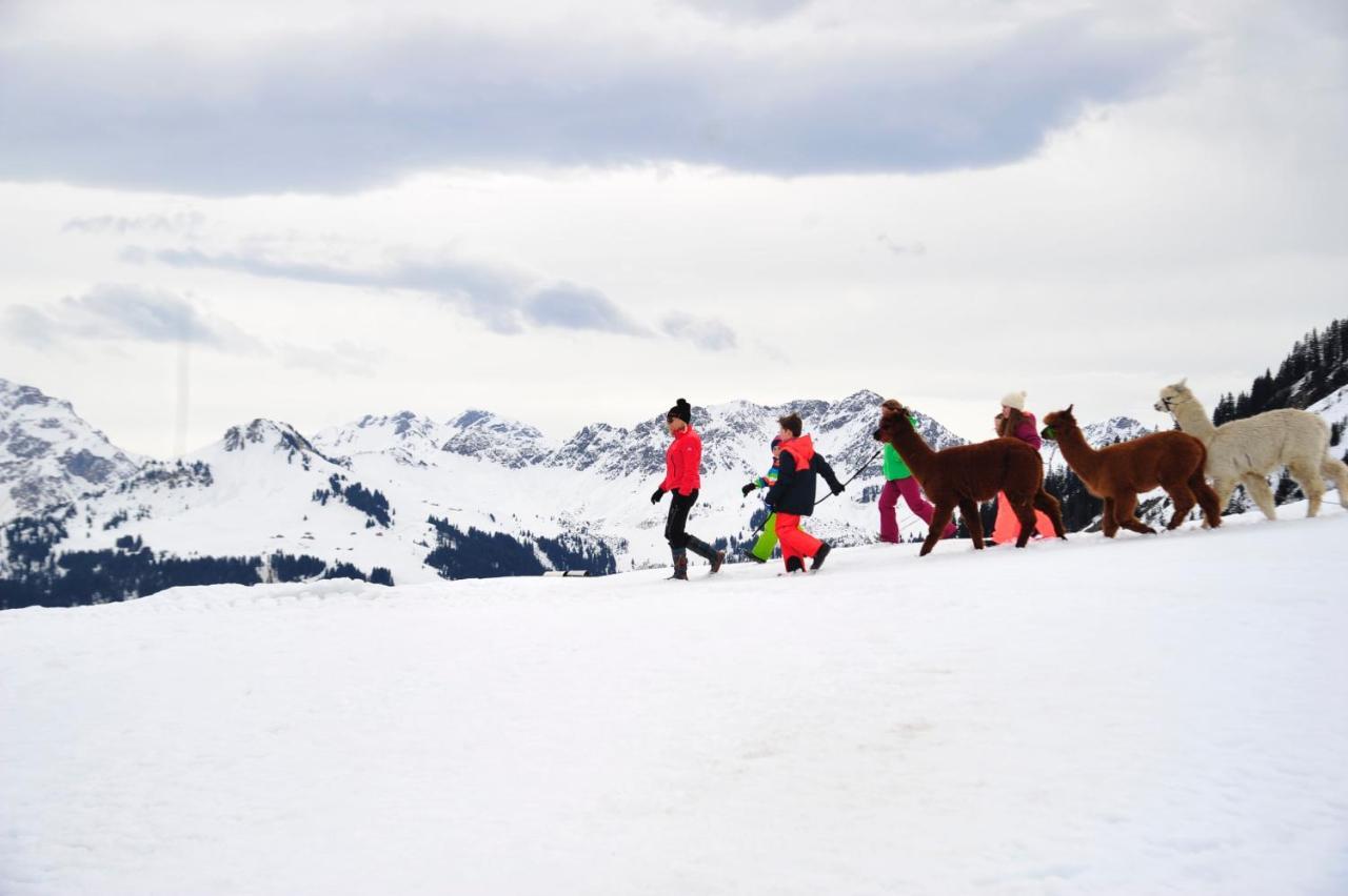 Alpenresort Walsertal دامولس المظهر الخارجي الصورة
